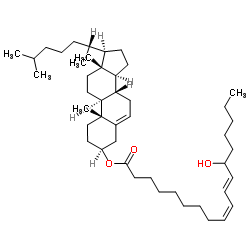 (+/-)11(12)-EPETREMETHYLESTER图片