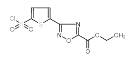 ETHYL 3-[5-(CHLOROSULFONYL)-2-THIENYL]-1,2,4-OXADIAZOLE-5-CARBOXYLATE picture