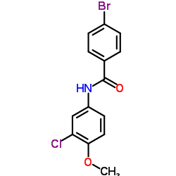 449166-30-7 structure