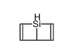 dewarsilabenzene Structure