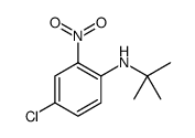 Benzenamine, 4-chloro-N-(1,1-dimethylethyl)-2-nitro图片