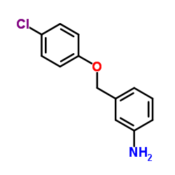 1016681-15-4 structure