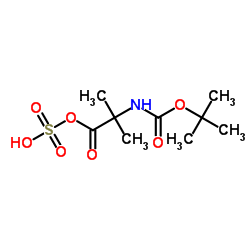 2-Methyl-2-propanyl [2-methyl-1-oxo-1-(sulfooxy)-2-propanyl]carbamate structure