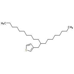 3-(2-Octyl-dodecyl)-thiophene Structure