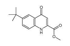 6-tert-Butyl-4-oxo-1,4-dihydro-quinoline-2-carboxylic acid Methyl ester picture