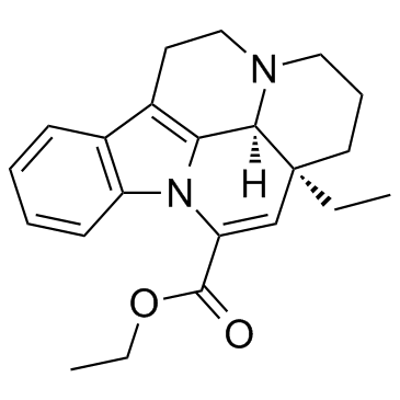 长春西汀图片