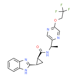 1257116-00-9 structure