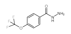 4-(trifluoromethoxy)benzoic acid hydrazide structure