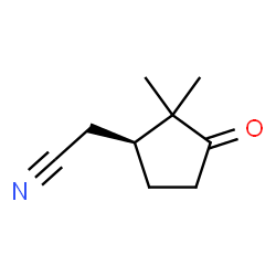 Cyclopentaneacetonitrile, 2,2-dimethyl-3-oxo-, (S)- (9CI) picture