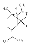 (-)-Alpha-蒎烯图片