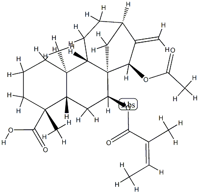 (4R)-15β-Acetoxy-7β-[[(Z)-2-methyl-1-oxo-2-butenyl]oxy]kaur-16-en-18-oic acid结构式