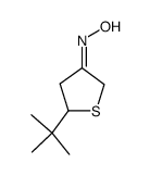 4,5-dihydro-5-(1,1-dimethylethyl)-3(2H)-thiophenone oxime结构式