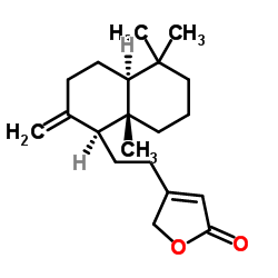 8(17),13-赖百当二烯-15,16-内酯图片