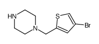 1-((4-溴噻吩-2-基)甲基)哌嗪结构式