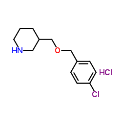 3-{[(4-Chlorobenzyl)oxy]methyl}piperidine hydrochloride (1:1)图片