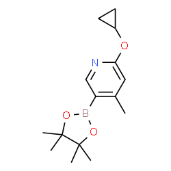 2-cyclopropoxy-4-Methyl-5-(4,4,5,5-tetramethyl-1,3,2-dioxaborolan-2-yl)pyridine结构式