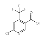 6-氯-4-三氟甲基烟酸图片