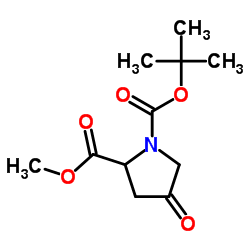 4-OXO-PYRROLIDINE-1,2-DICARBOXYLIC ACID 1-TERT-BUTYL ESTER 2-METHYL ESTER Structure