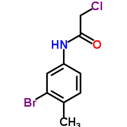 N-(3-Bromo-4-methylphenyl)-2-chloroacetamide structure