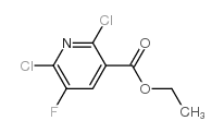 ethyl 2,6-dichloro-5-fluoropyridine-3-carboxylate Structure