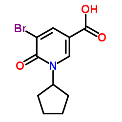 5-Bromo-1-cyclopentyl-6-oxo-1,6-dihydro-3-pyridinecarboxylic acid结构式