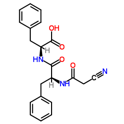 Angiotensin I-Converting Enzyme (ACE) Inactivator picture