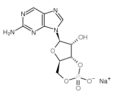 42467-66-3 structure