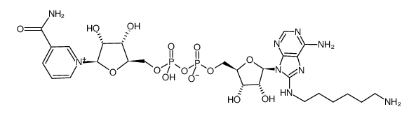 52977-33-0 structure