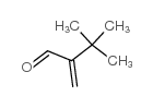 3,3-DIMETHYL-2-METHYLENE-BUTYRALDEHYDE Structure