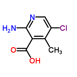 2-Amino-5-chloro-4-Methyl-nicotinic acid structure