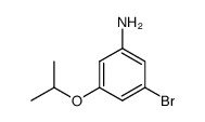 3-bromo-5-isopropoxyaniline Structure