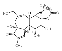 PHORBOL 13-ACETATE picture