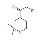 Ethanone, 2-chloro-1-(tetrahydro-2,2-dimethyl-2H-thiopyran-4-yl)- (9CI)结构式