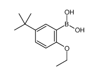 5-叔丁基-2-乙氧基苯硼酸图片