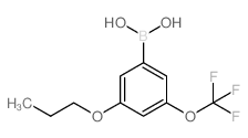 3-丙氧基-5-(三氟甲氧基)苯硼酸图片