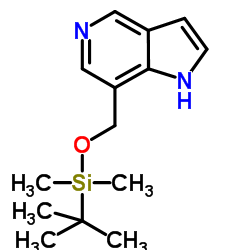 1082040-91-2 structure