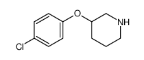 3-(4-chlorophenoxy)piperidine picture