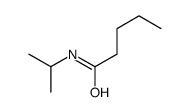 N-propan-2-ylpentanamide结构式