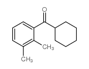 CYCLOHEXYL 2,3-DIMETHYLPHENYL KETONE图片