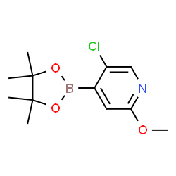 5-Chloro-2-methoxypyridine-4-boronic acid pinacol ester Structure