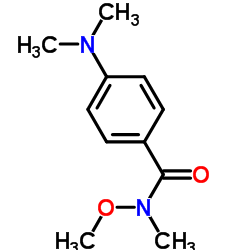 4-(Dimethylamino)-N-methoxy-N-methylbenzamide结构式