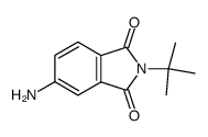 5-amino-2-tert-butyl-isoindole-1,3-dione picture