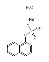 1-NAPHTHYL PHOSPHATE MONOSODIUM SALT MONOHYDRATE picture