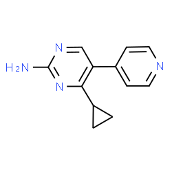 J9 picture