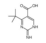 5-Pyrimidinecarboxylic acid, 2-amino-4-(1,1-dimethylethyl)- (9CI) Structure