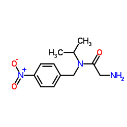 N-Isopropyl-N-(4-nitrobenzyl)glycinamide结构式