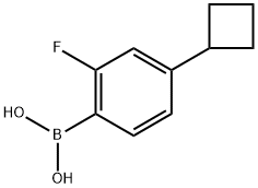 2-Fluoro-4-(cyclobutyl)phenylboronic acid structure