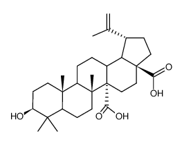 3β-Hydroxylup-20(29)-ene-27,28-dioic acid结构式