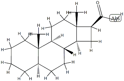 D-Nor-5α-androstane-16β-carboxylic acid structure