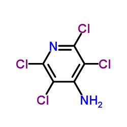 2,3,5,6-tetrachloropyridin-4-amine Structure